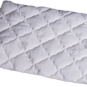 coussin (1)