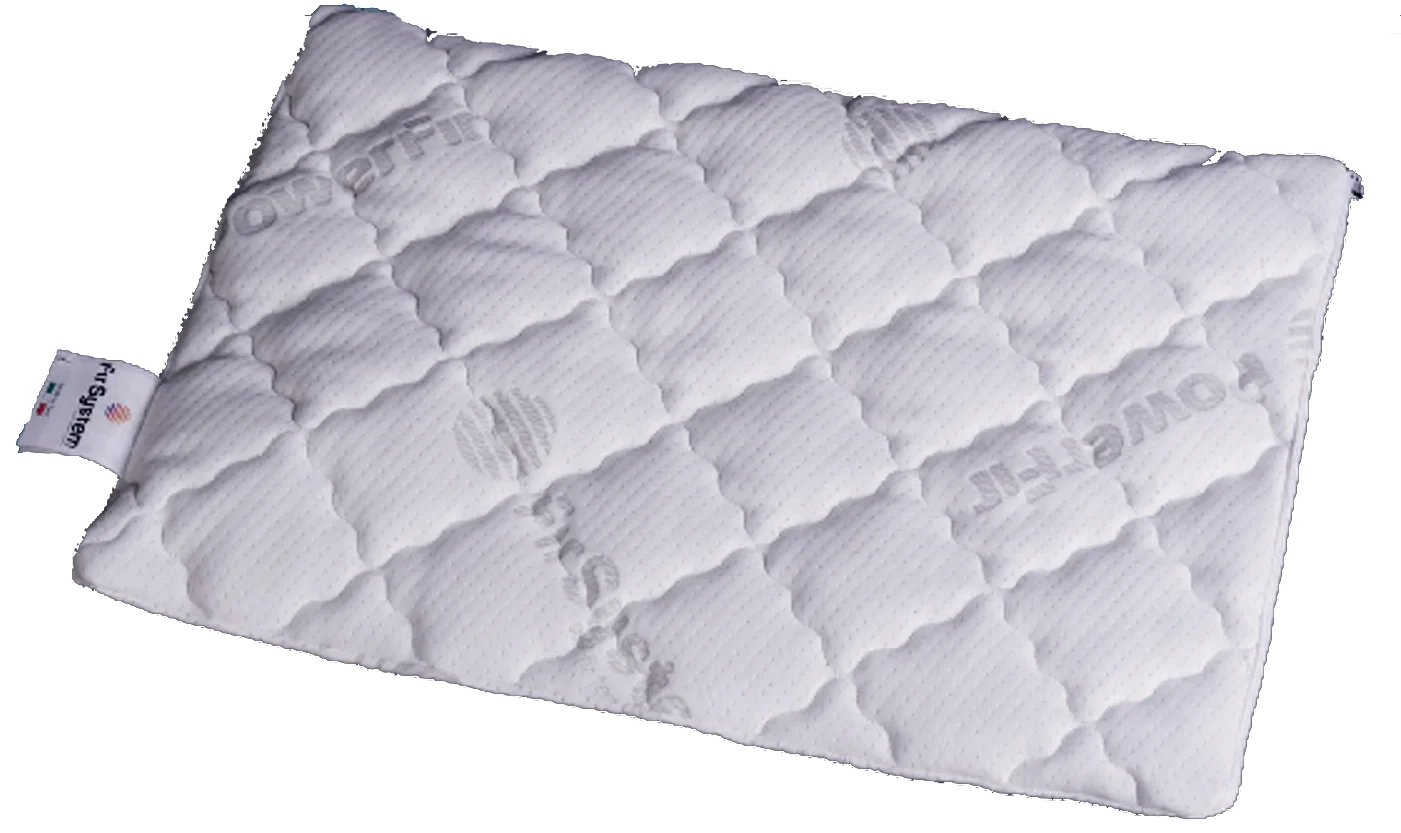 coussin (1)